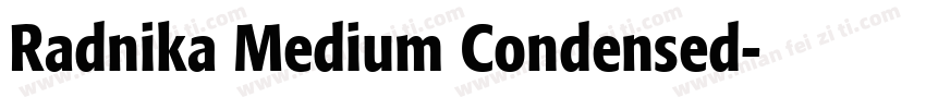 Radnika Medium Condensed字体转换